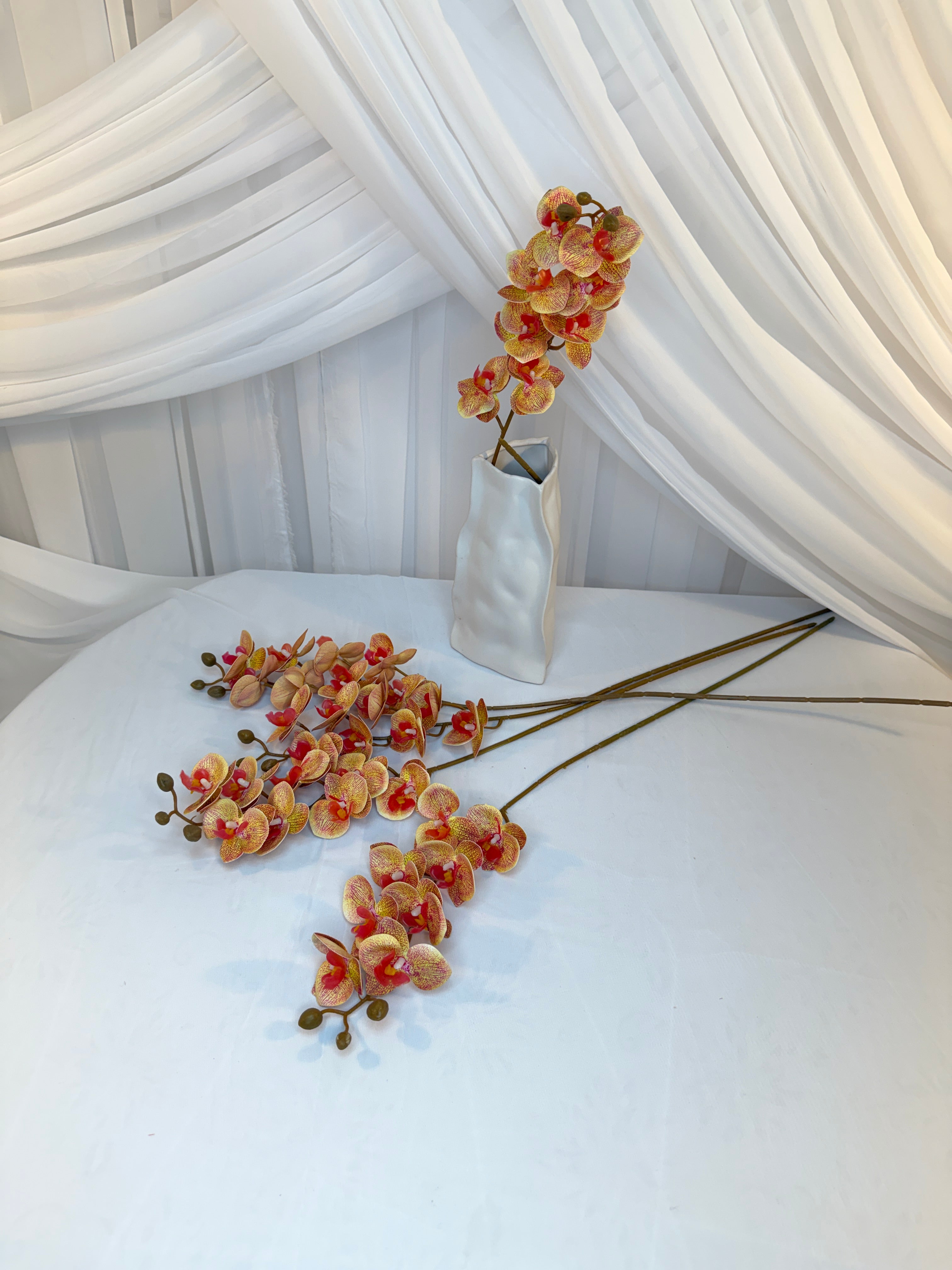 Orhidee 8 Flori Galben Pestrit