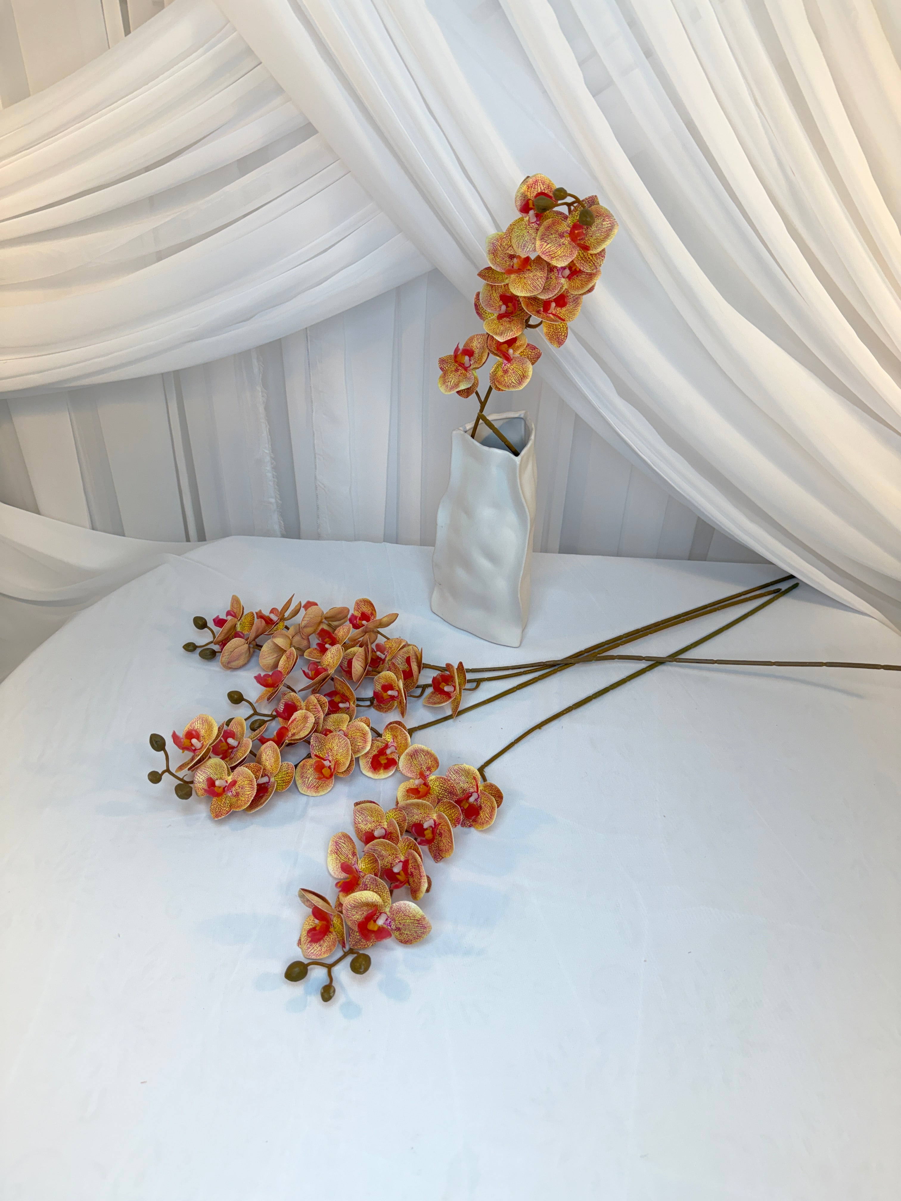 Orhidee 8 Flori Galben Pestrit