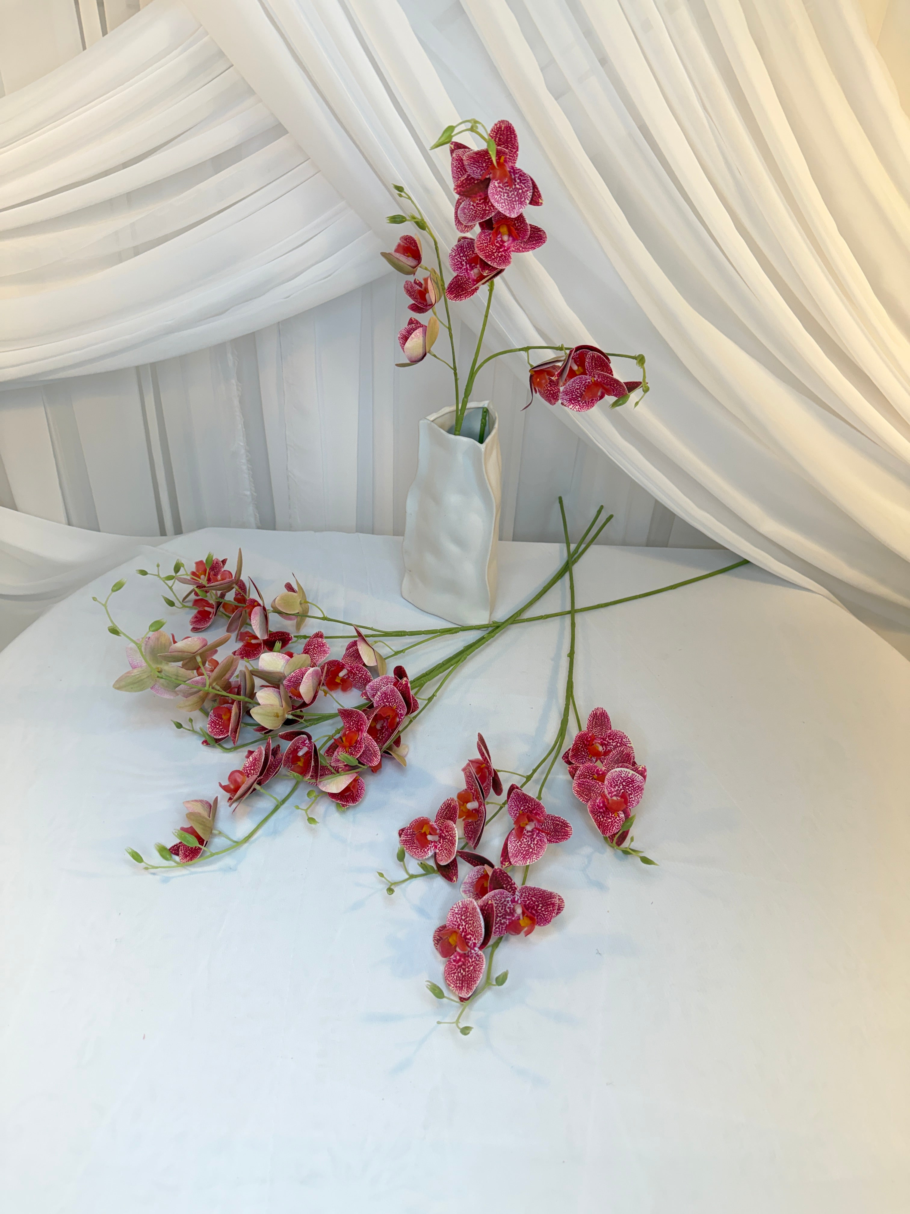 Orhidee 3 Crengute Grena Pestrit