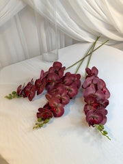 Orhidee 9 Flori Purpuriu 1