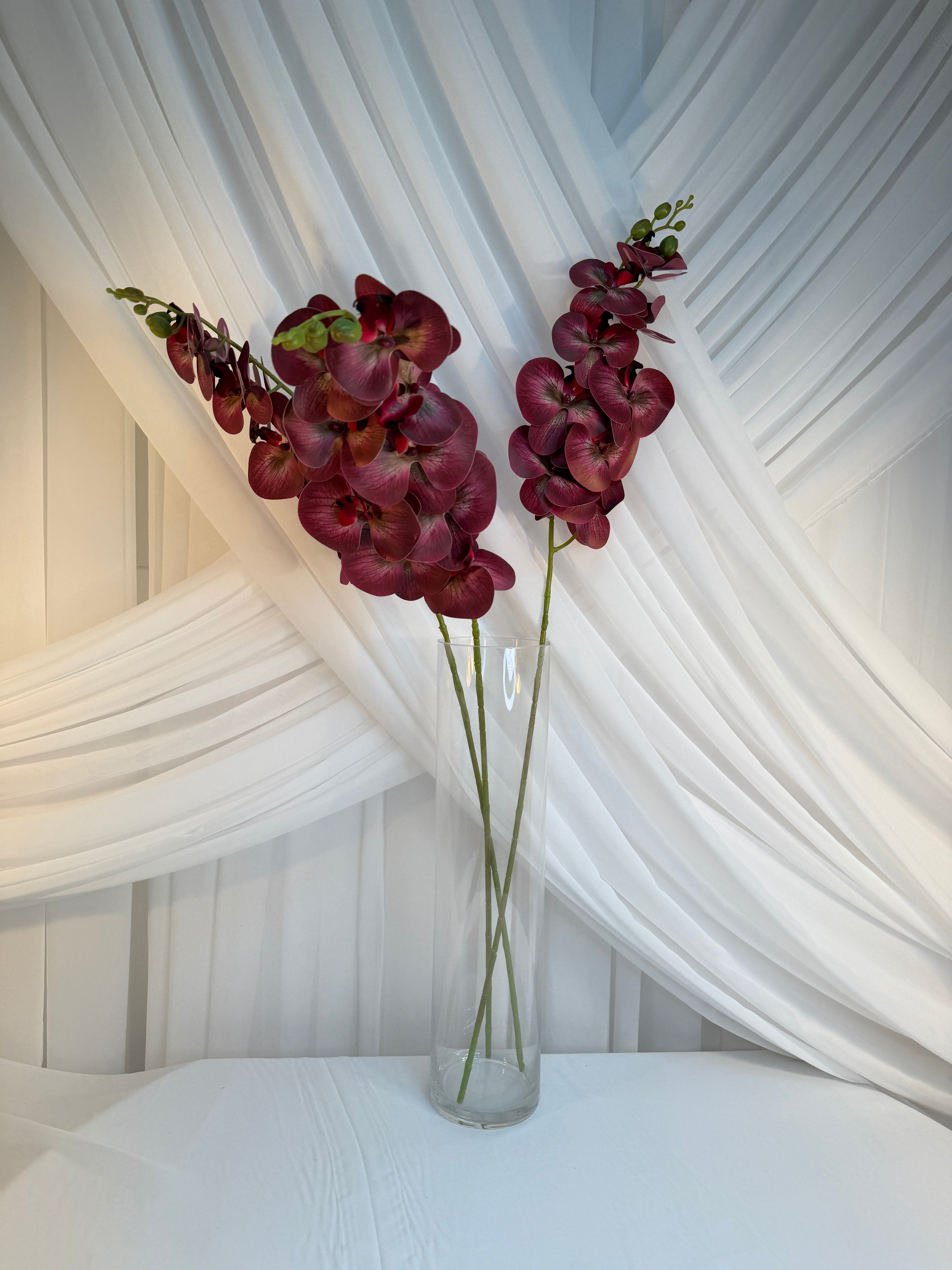 Orhidee 9 Flori Purpuriu 1