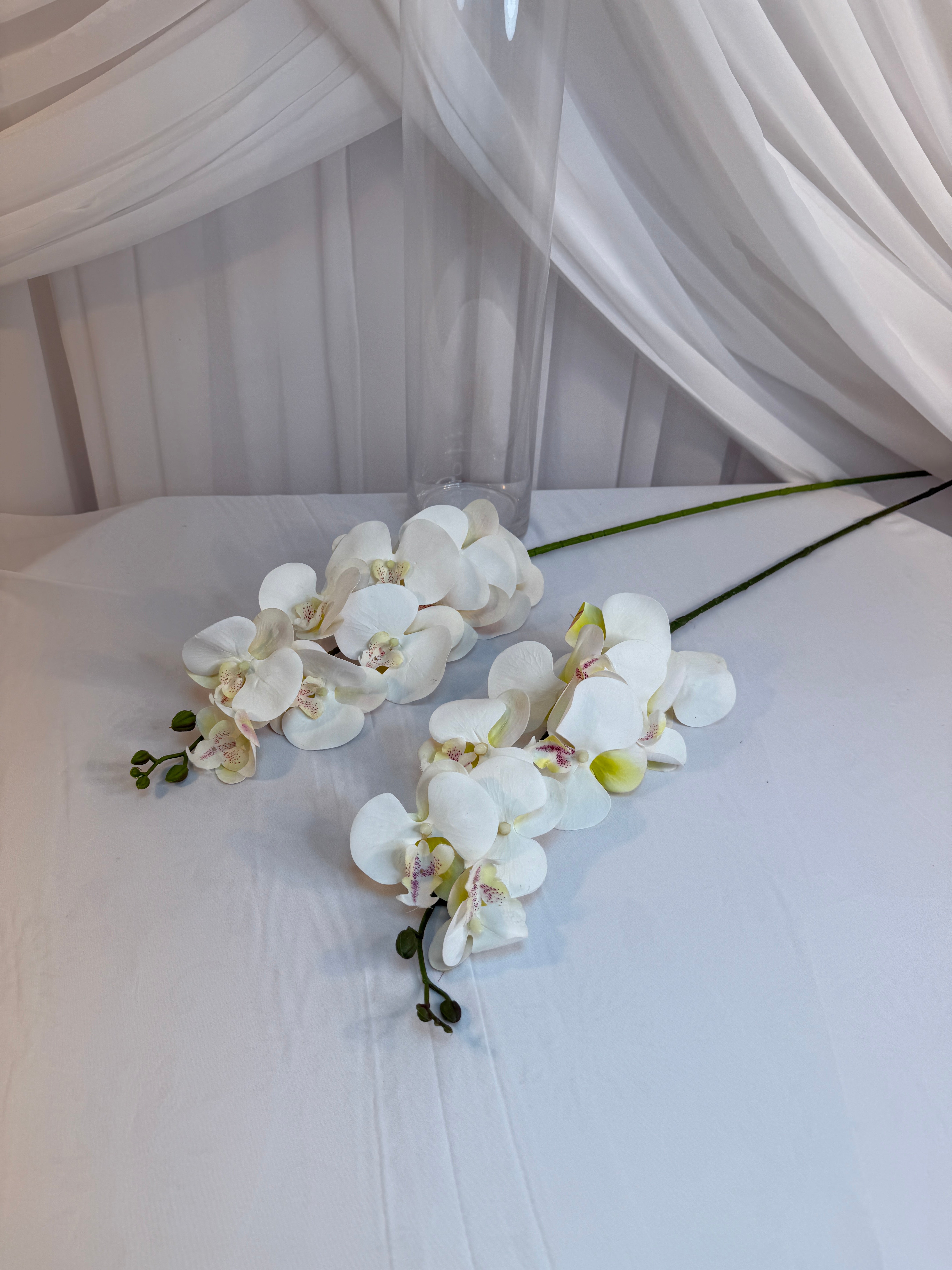 Orhidee 9 Flori Alb 302-9