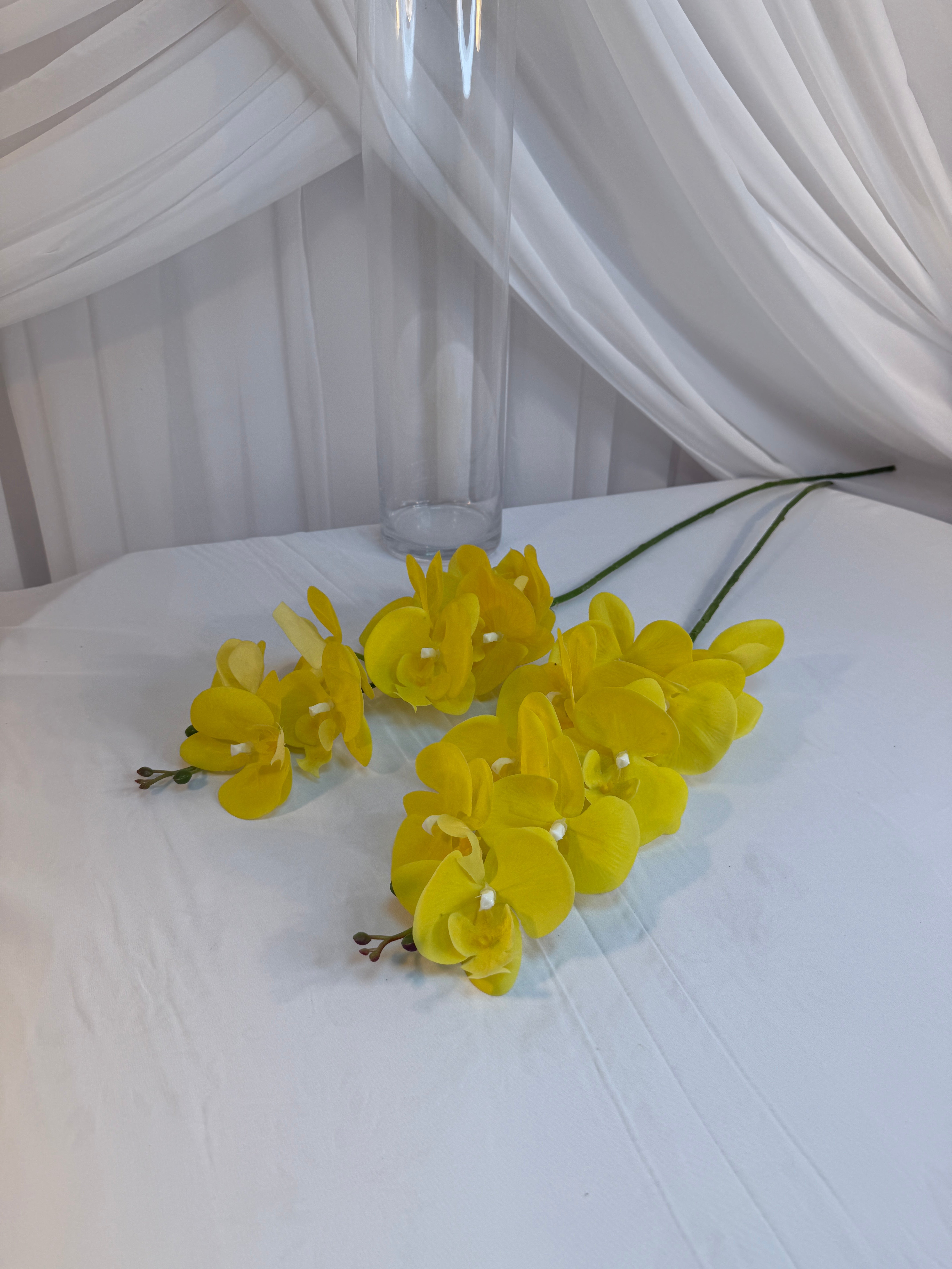 Orhidee 9 Flori Galben