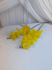 Orhidee 9 Flori Galben