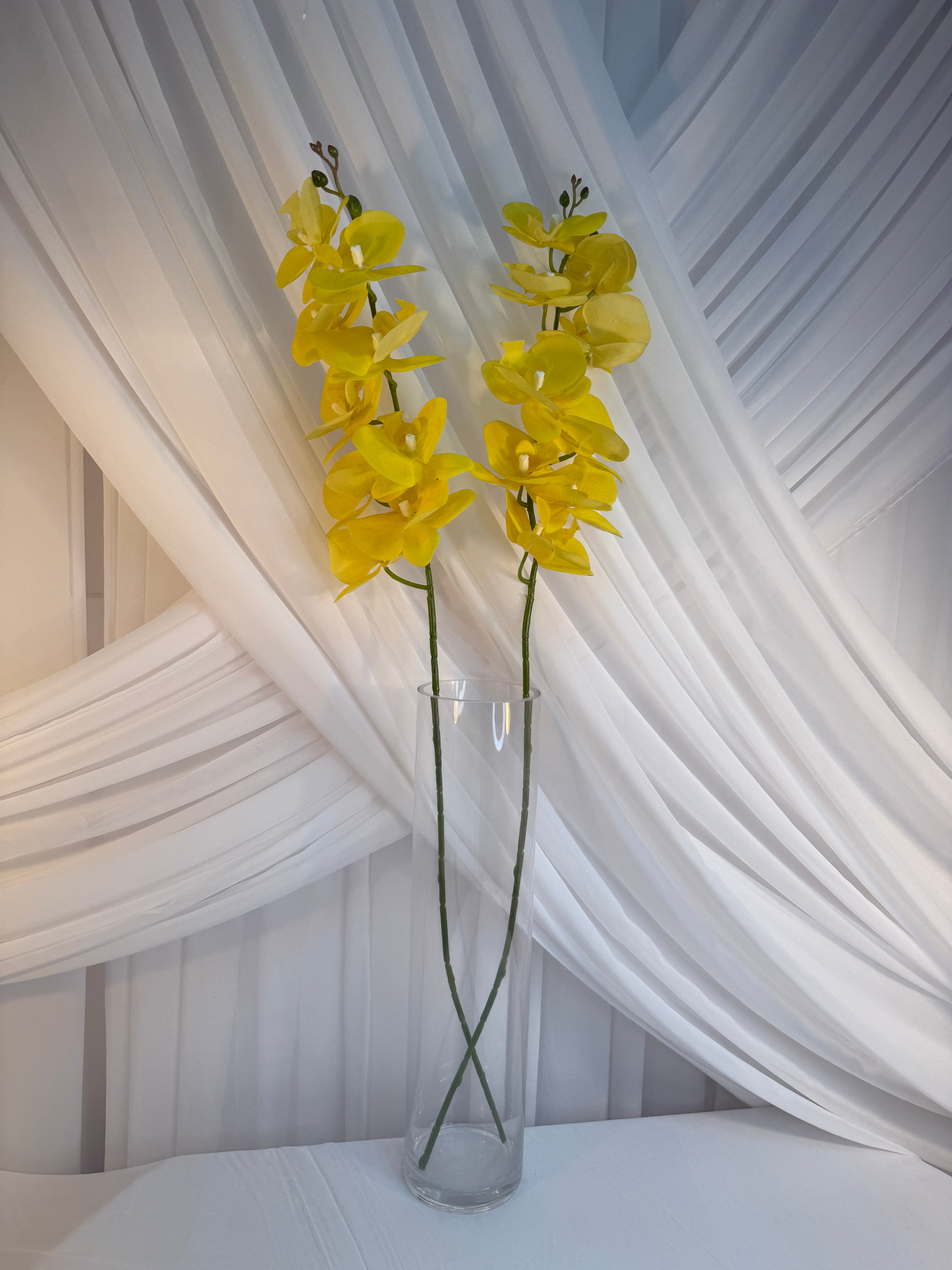 Orhidee 9 Flori Galben