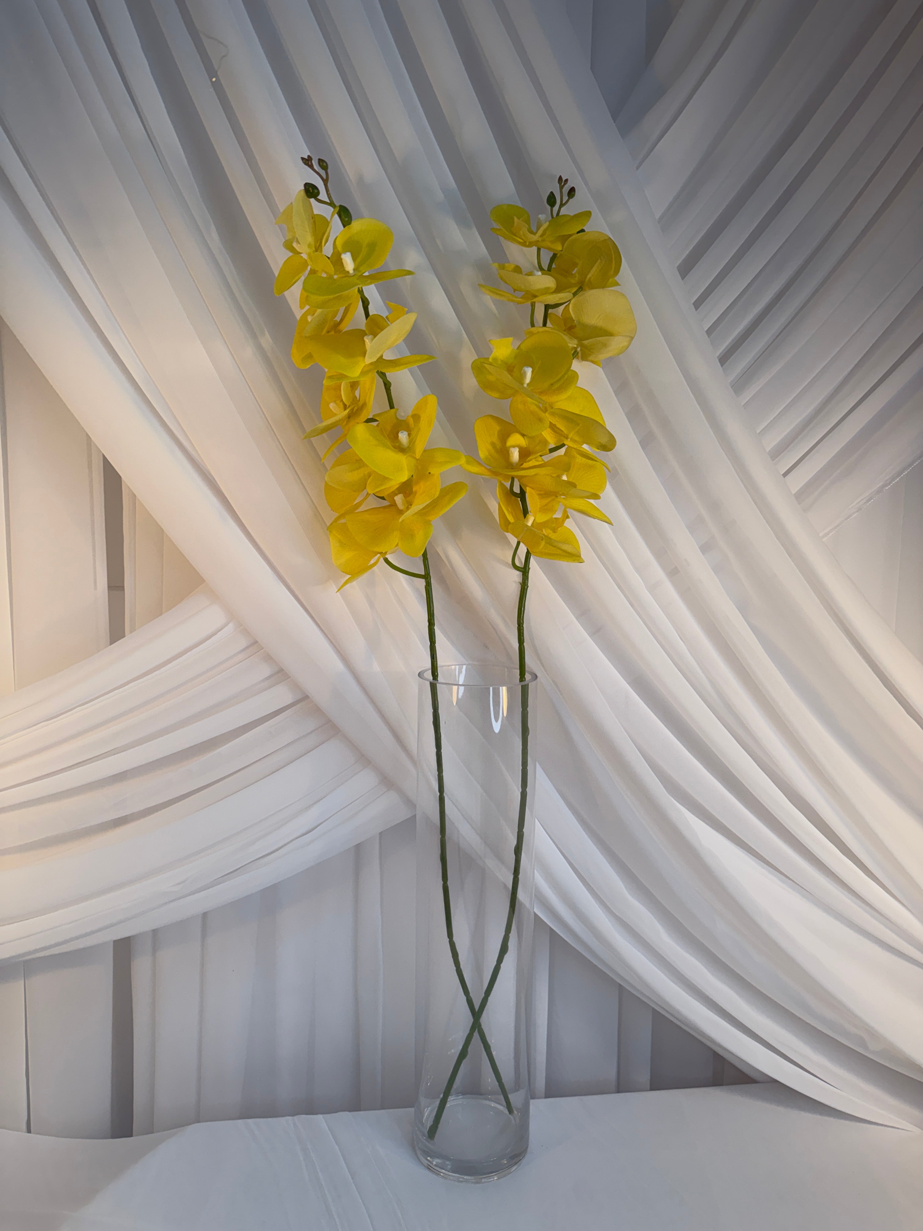 Orhidee 9 Flori Galben