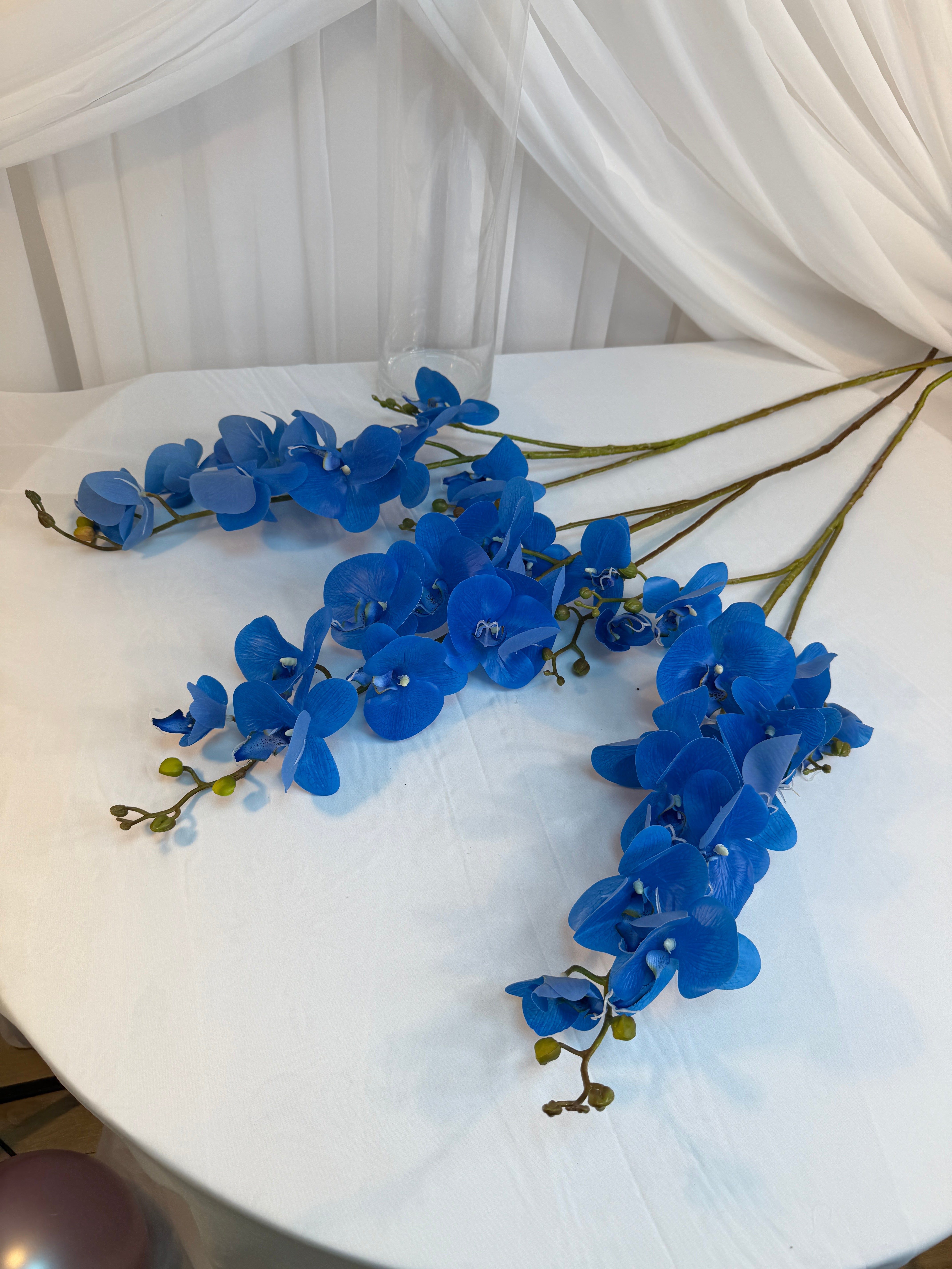 Orhidee 3 Crengute Albastra