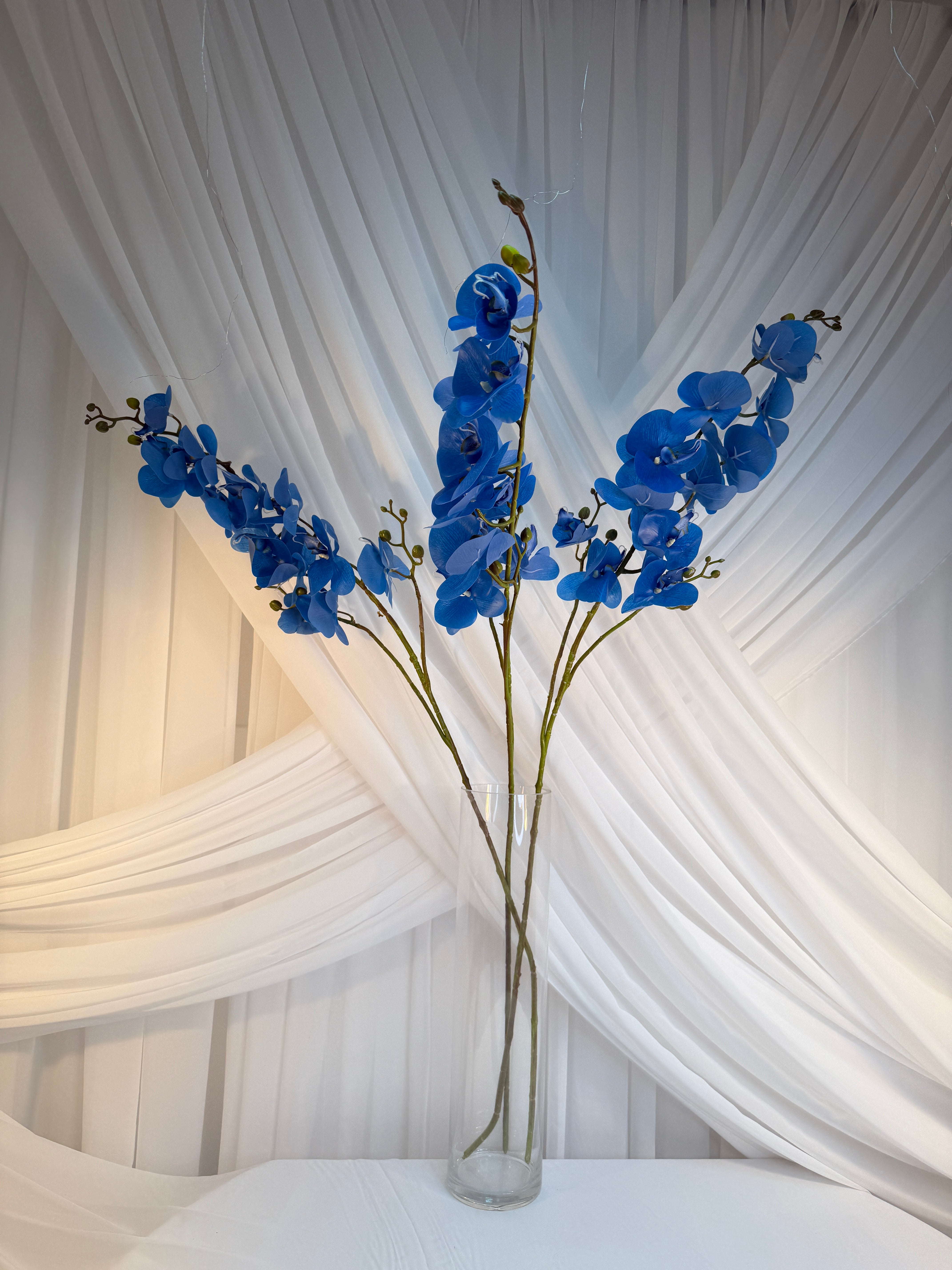 Orhidee 3 Crengute Albastra