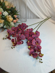 Orhidee 9 Flori Purpuriu 2