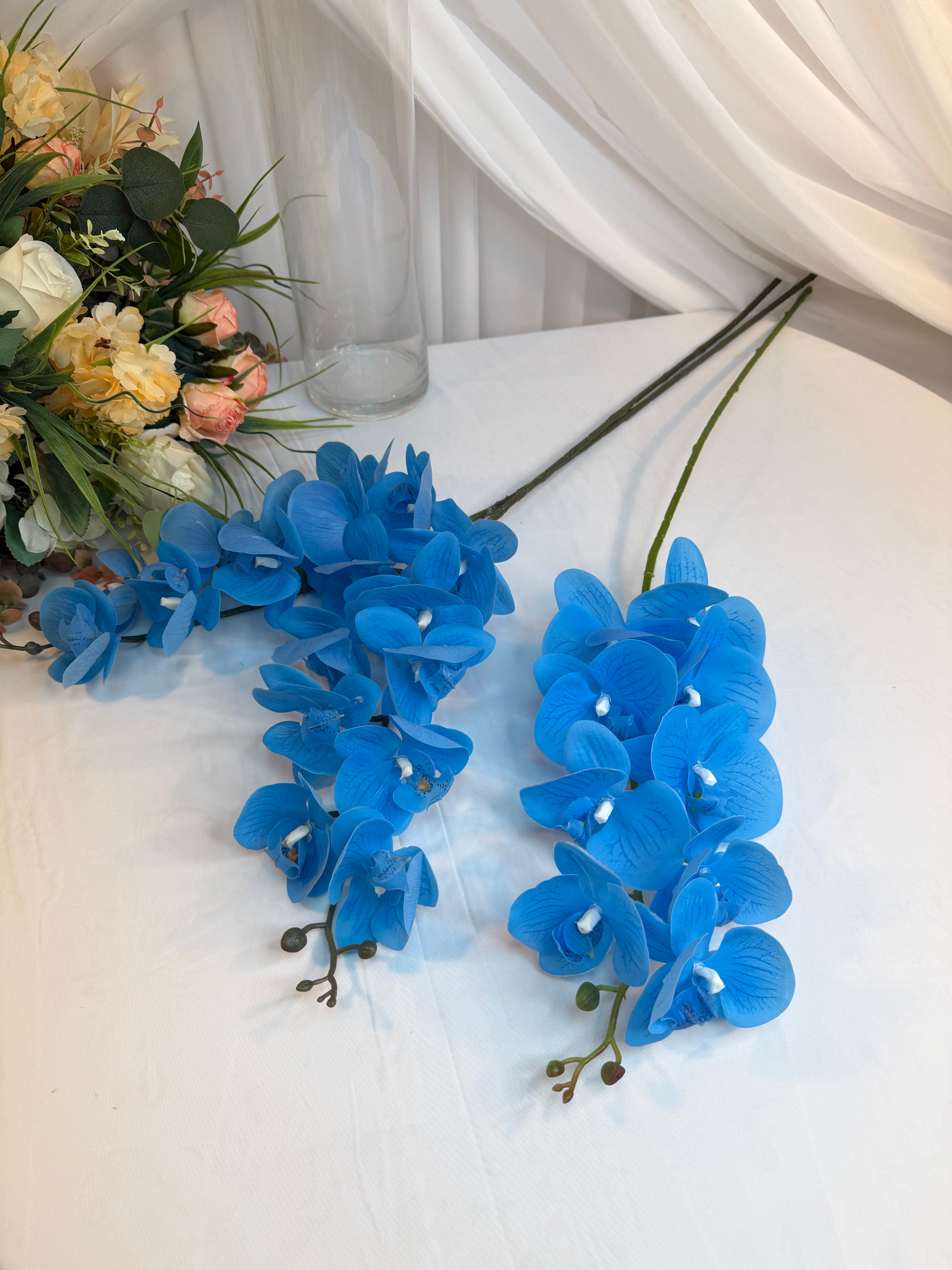 Orhidee 9 flori Bleu