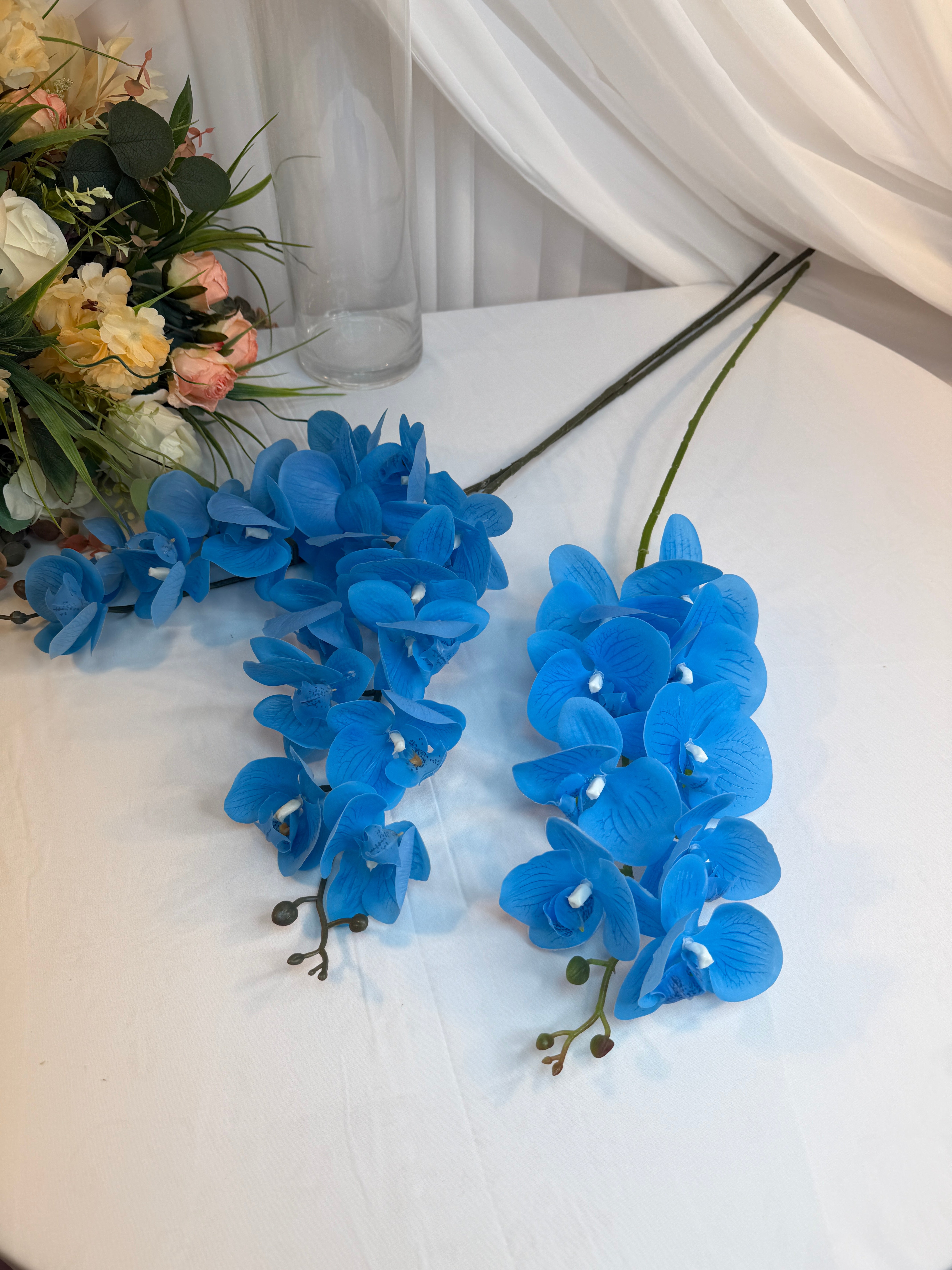 Orhidee 9 flori Bleu