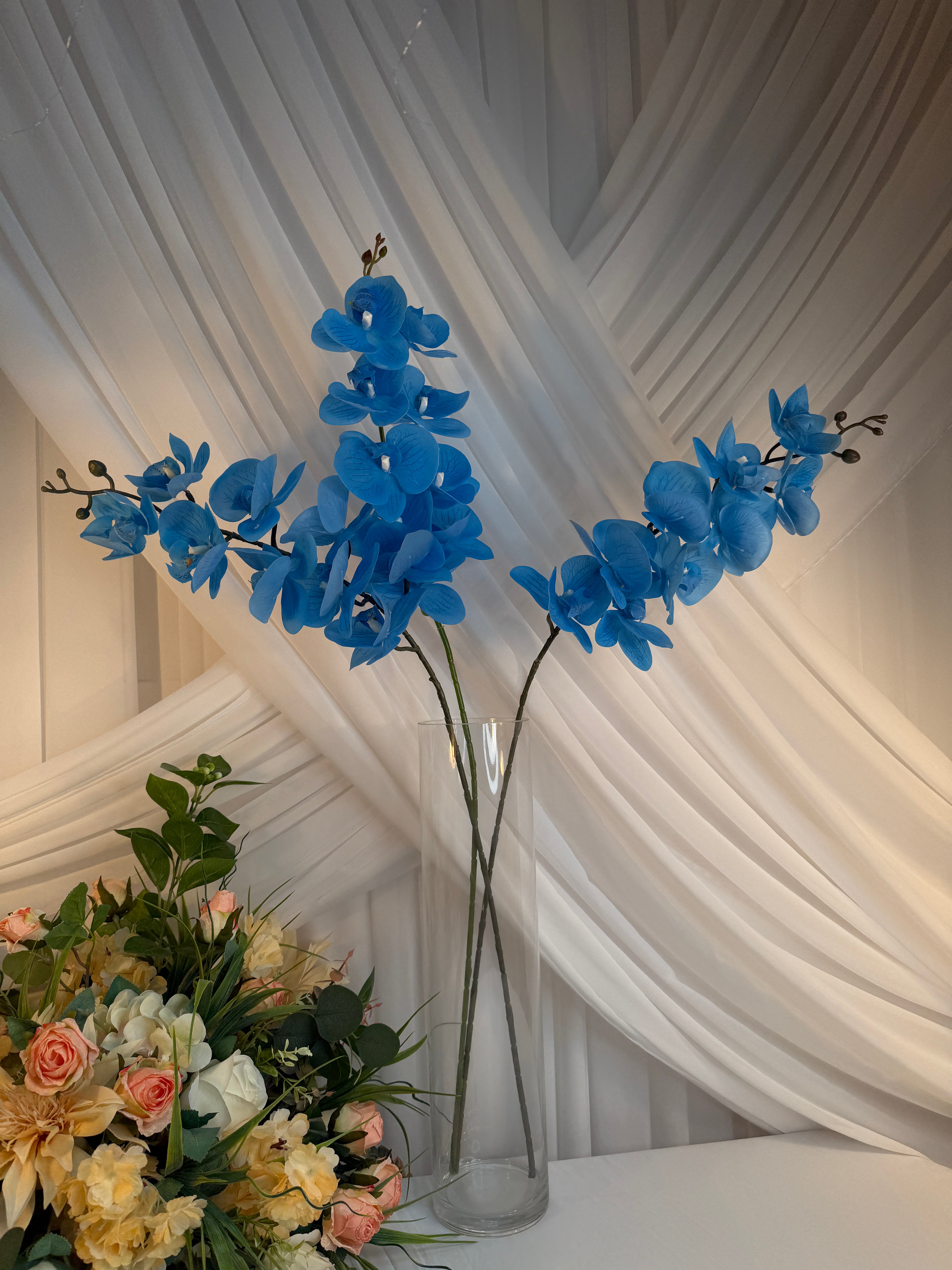 Orhidee 9 flori Bleu