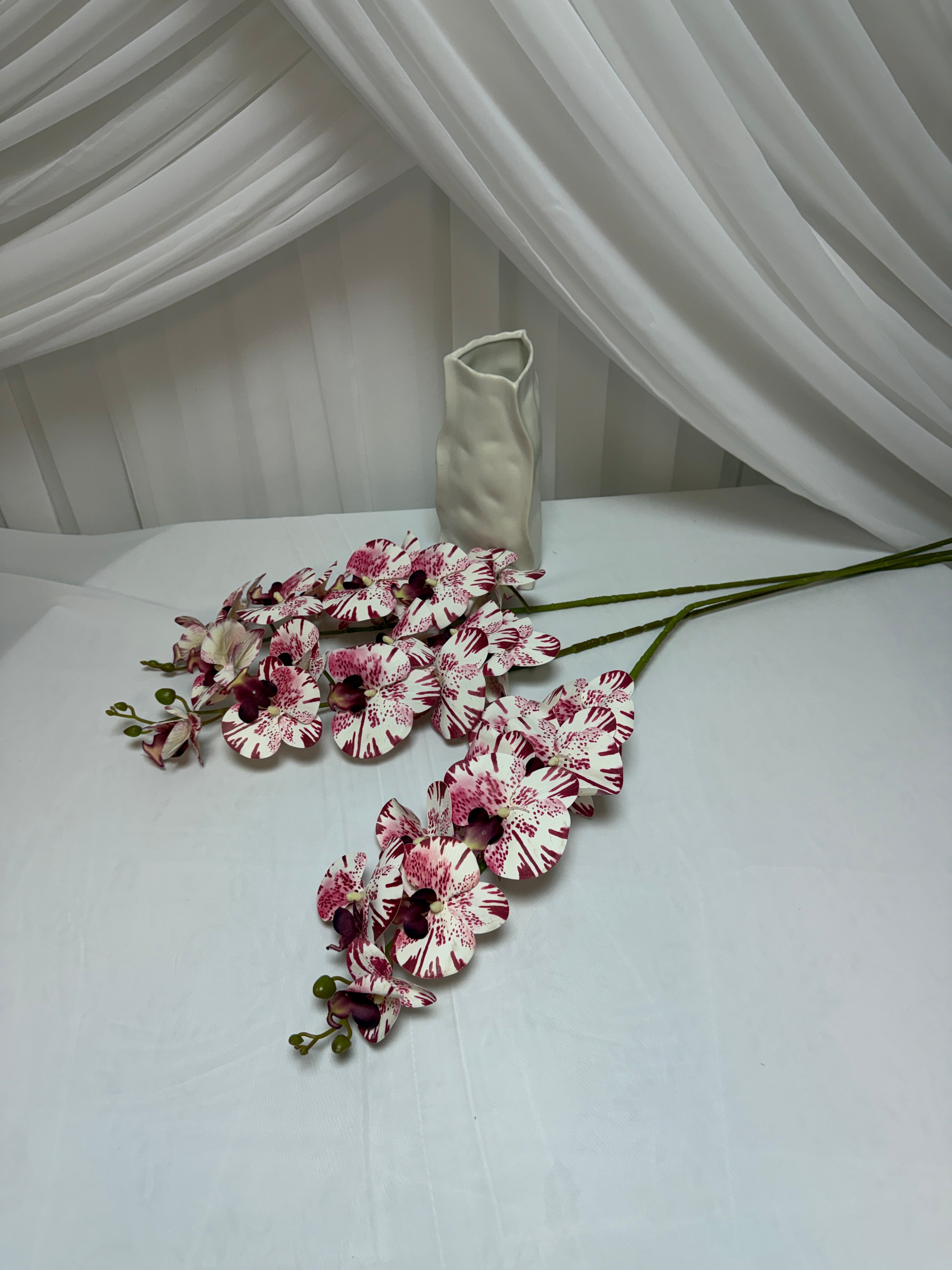 Orhidee 9 Flori Alb Grena Linii A302-22