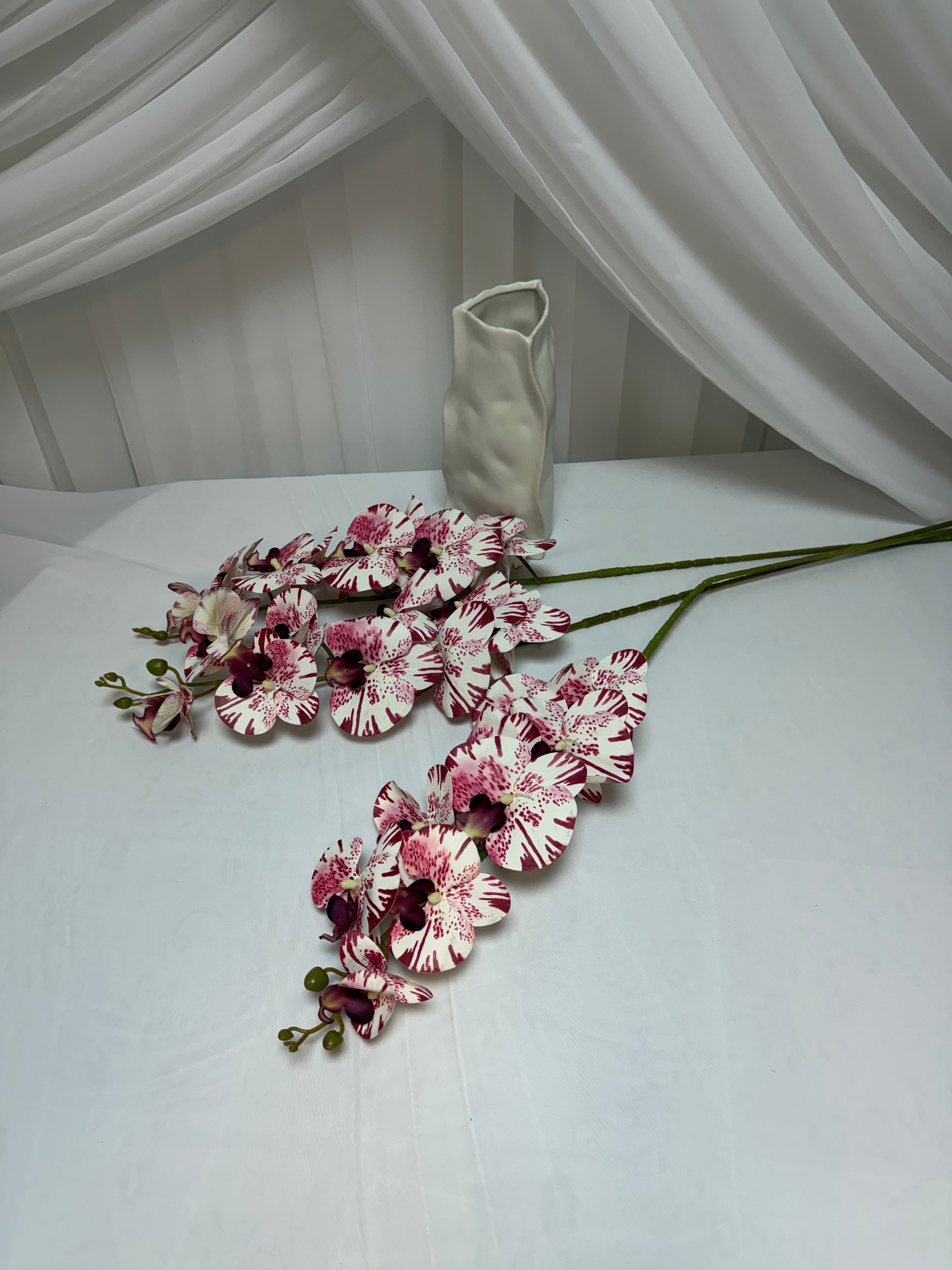 Orhidee 9 Flori Alb Grena Linii A302-22