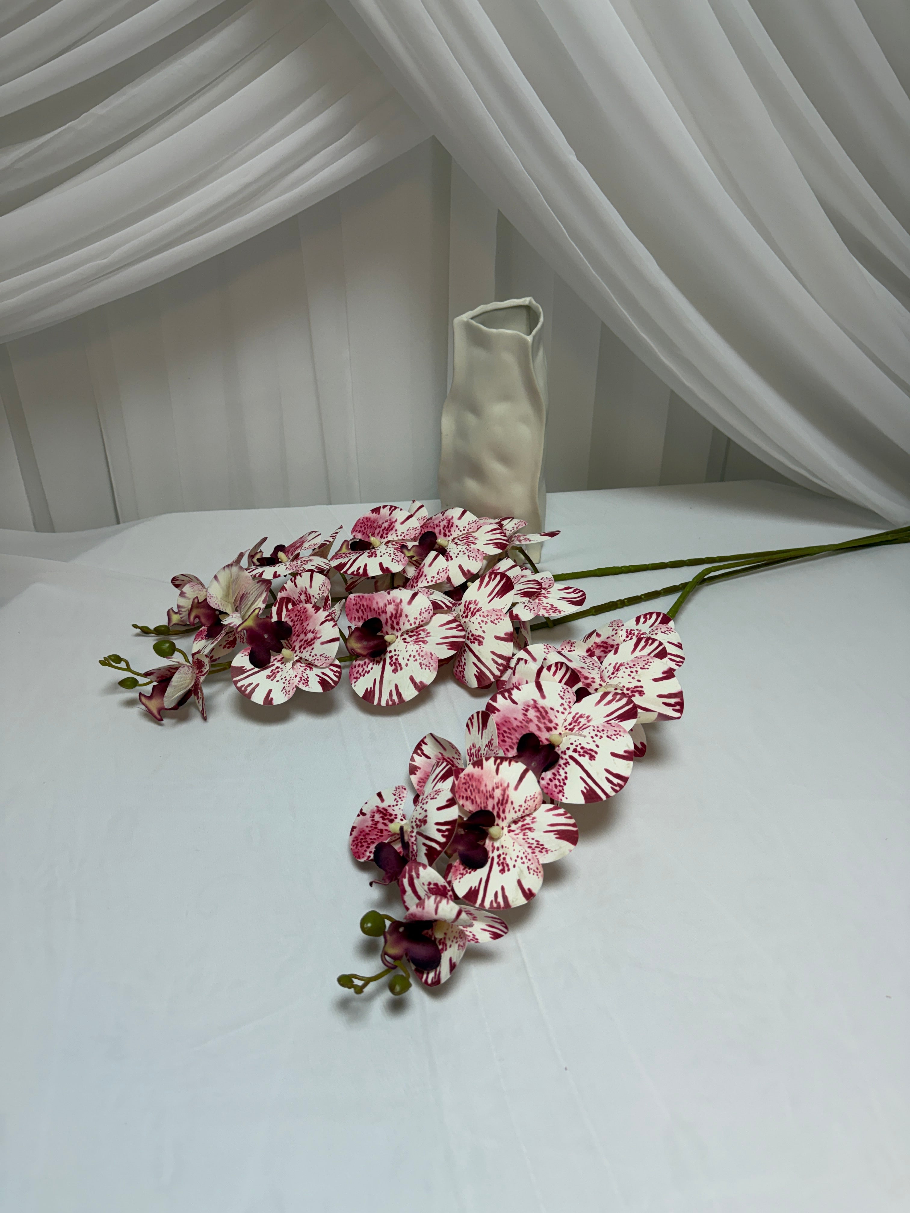 Orhidee 9 Flori Alb Grena Linii A302-22