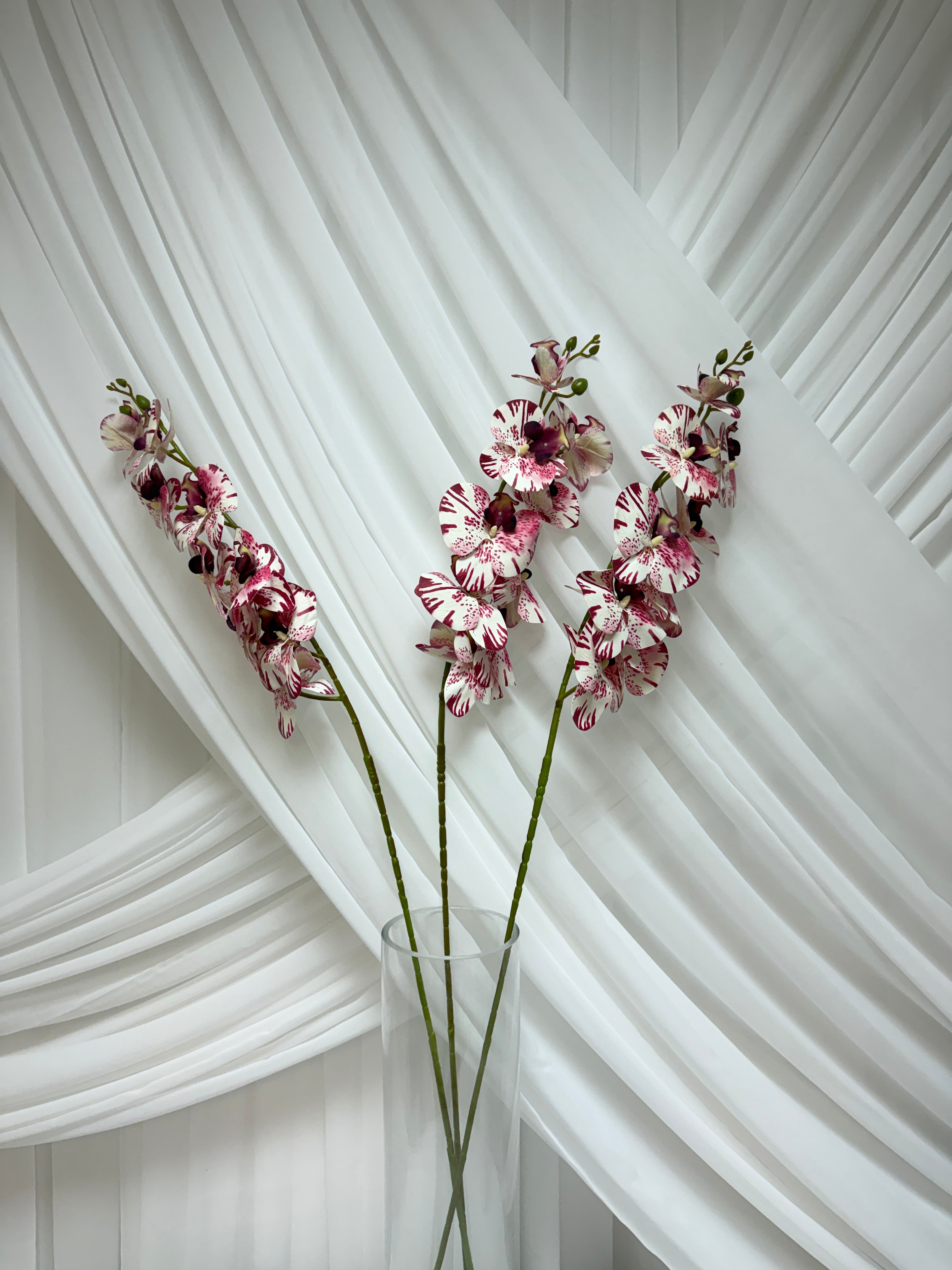 Orhidee 9 Flori Alb Grena Linii A302-22