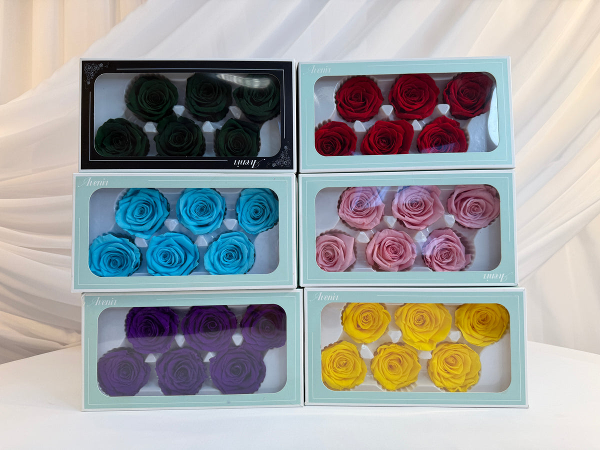 Trandafiri Criogenati 6/set