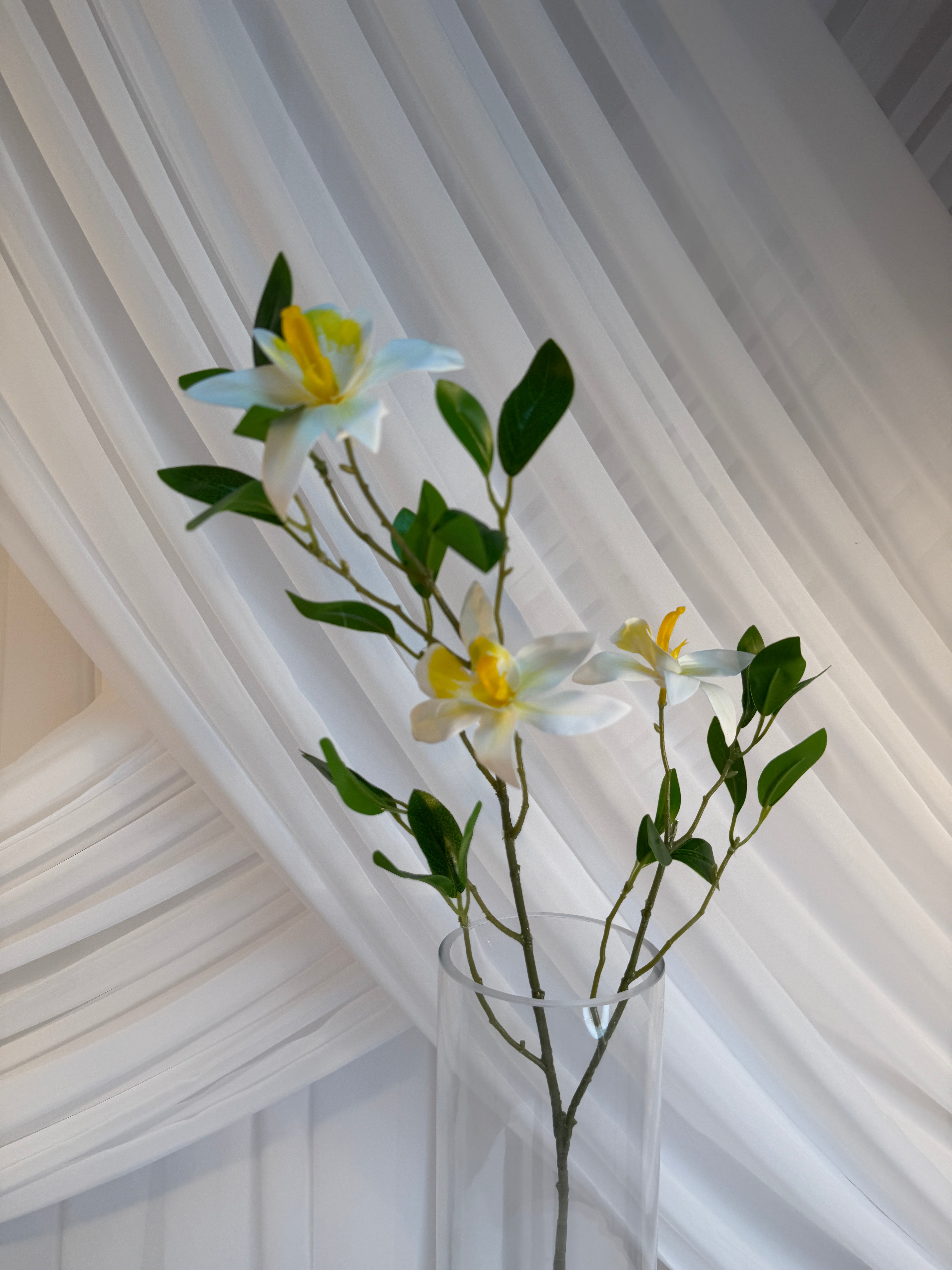 Creanga Exotica Orhidee Salbatica