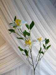 Creanga Exotica Orhidee Salbatica