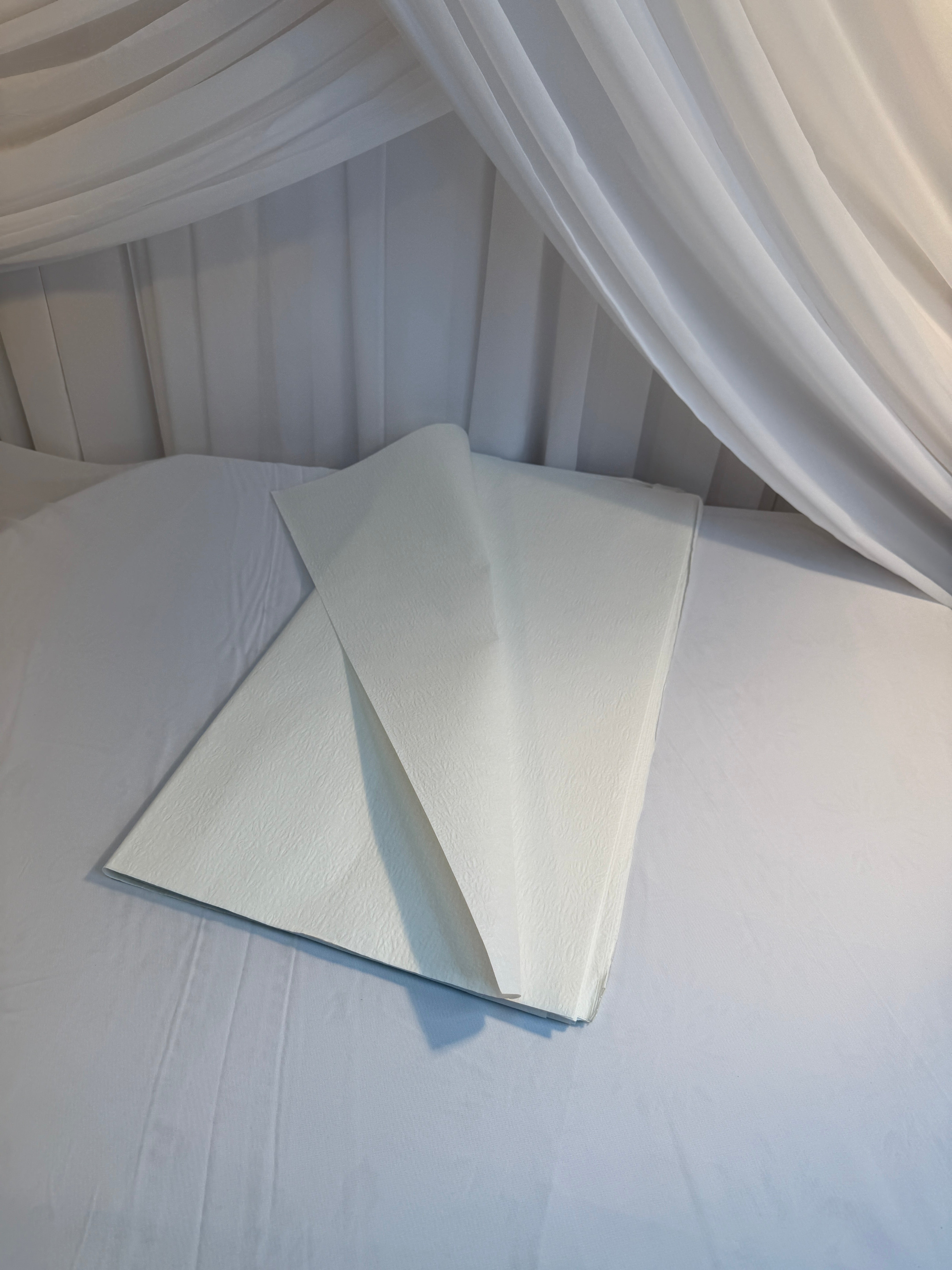 Ambalaj Flori Hartie 62x62cm 20/set
