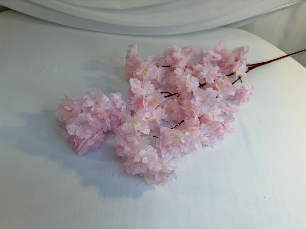 Crengi Flori De Cires Roz
