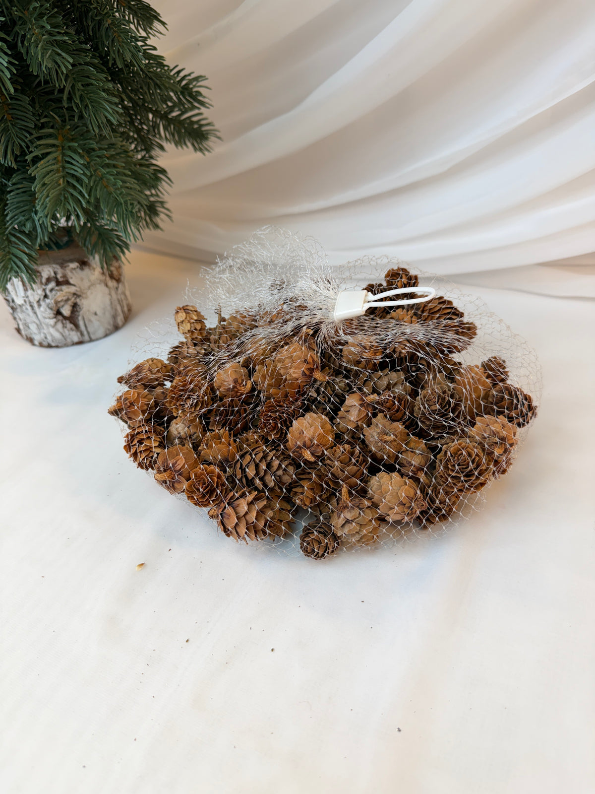 Conuri de Brad Naturale Decorative pentru Crăciun, 2 x 3 cm, Săculeț 250 g