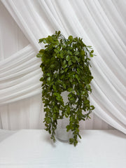 Creanga Frunze Decorativa Salcam 74cm 2/set