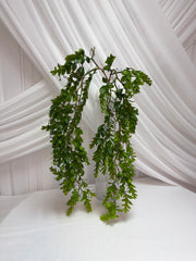 Creanga Frunze Decorativa 2/set 04