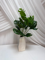 Buchet Frunze Filodendron