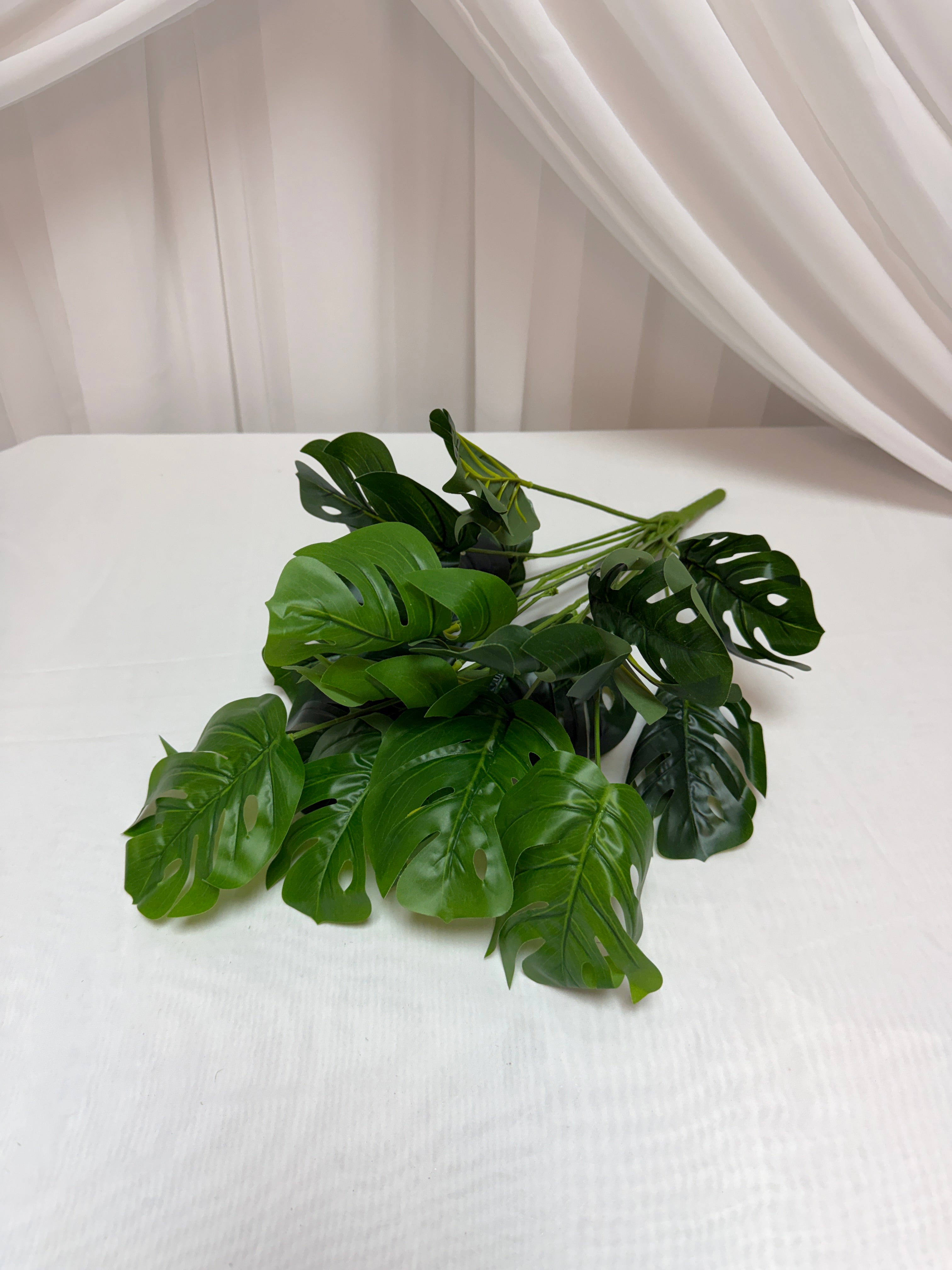 Buchet Frunze Filodendron