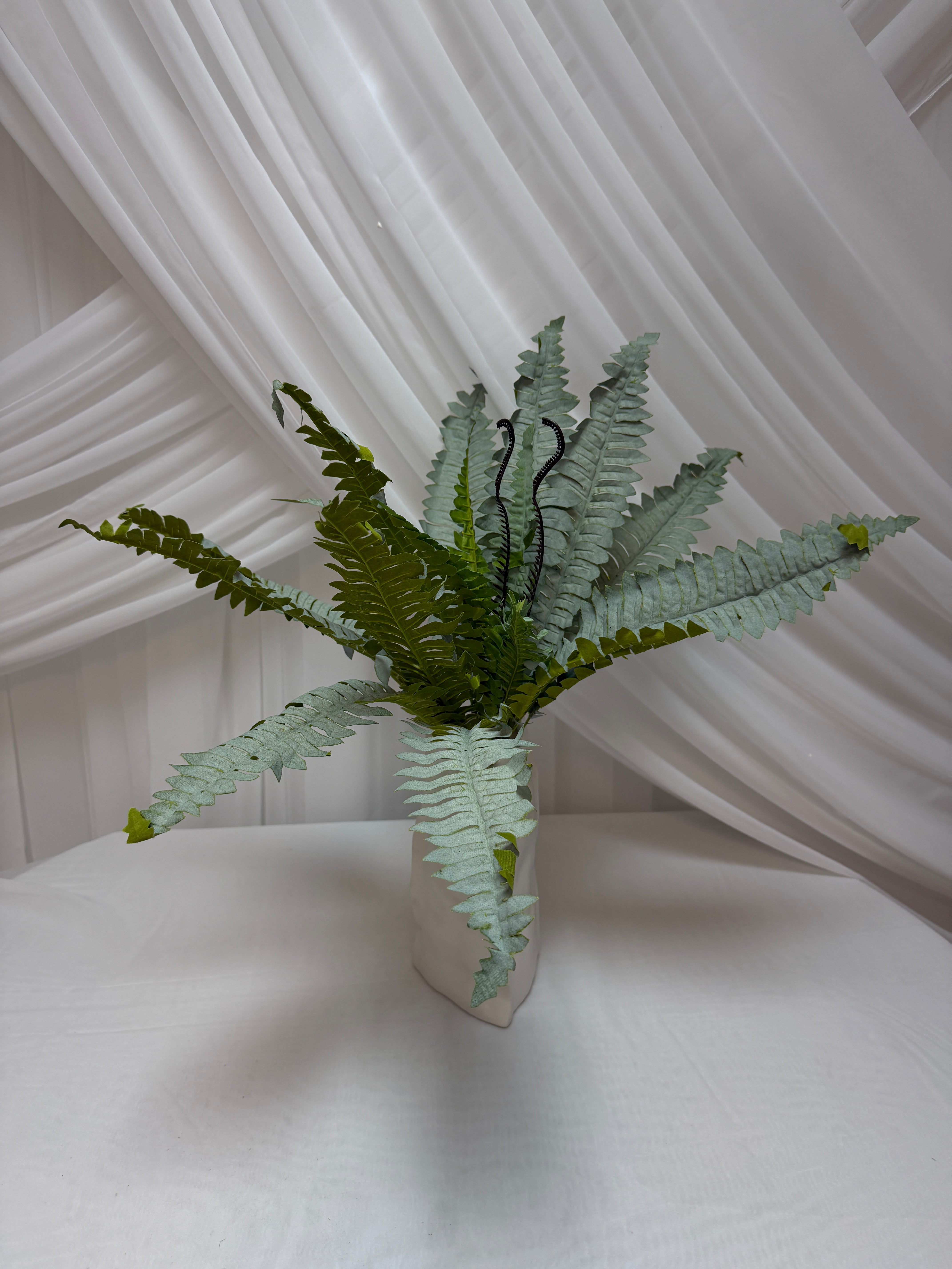 Buchet Frunze Feriga Brumata