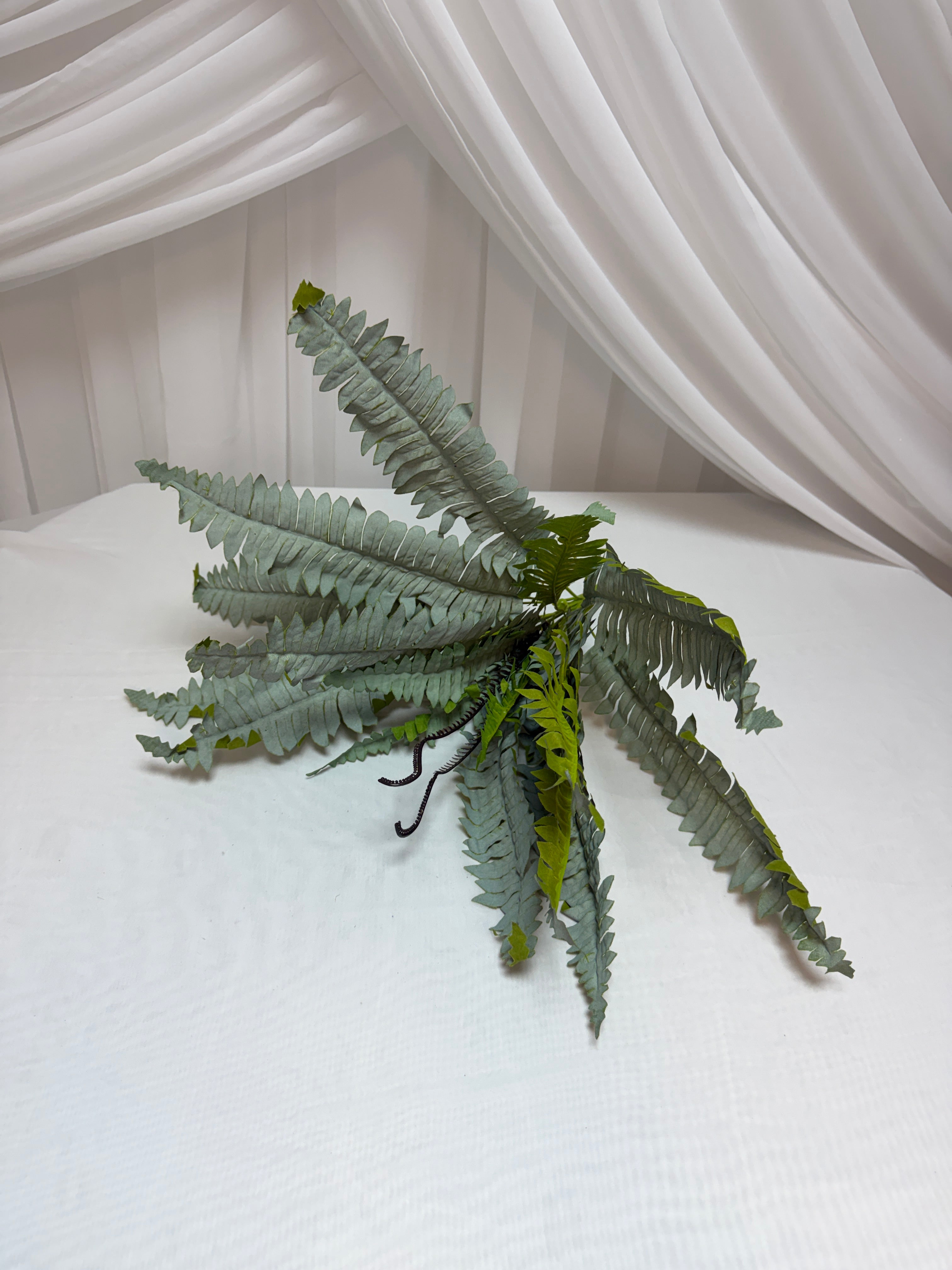 Buchet Frunze Feriga Brumata