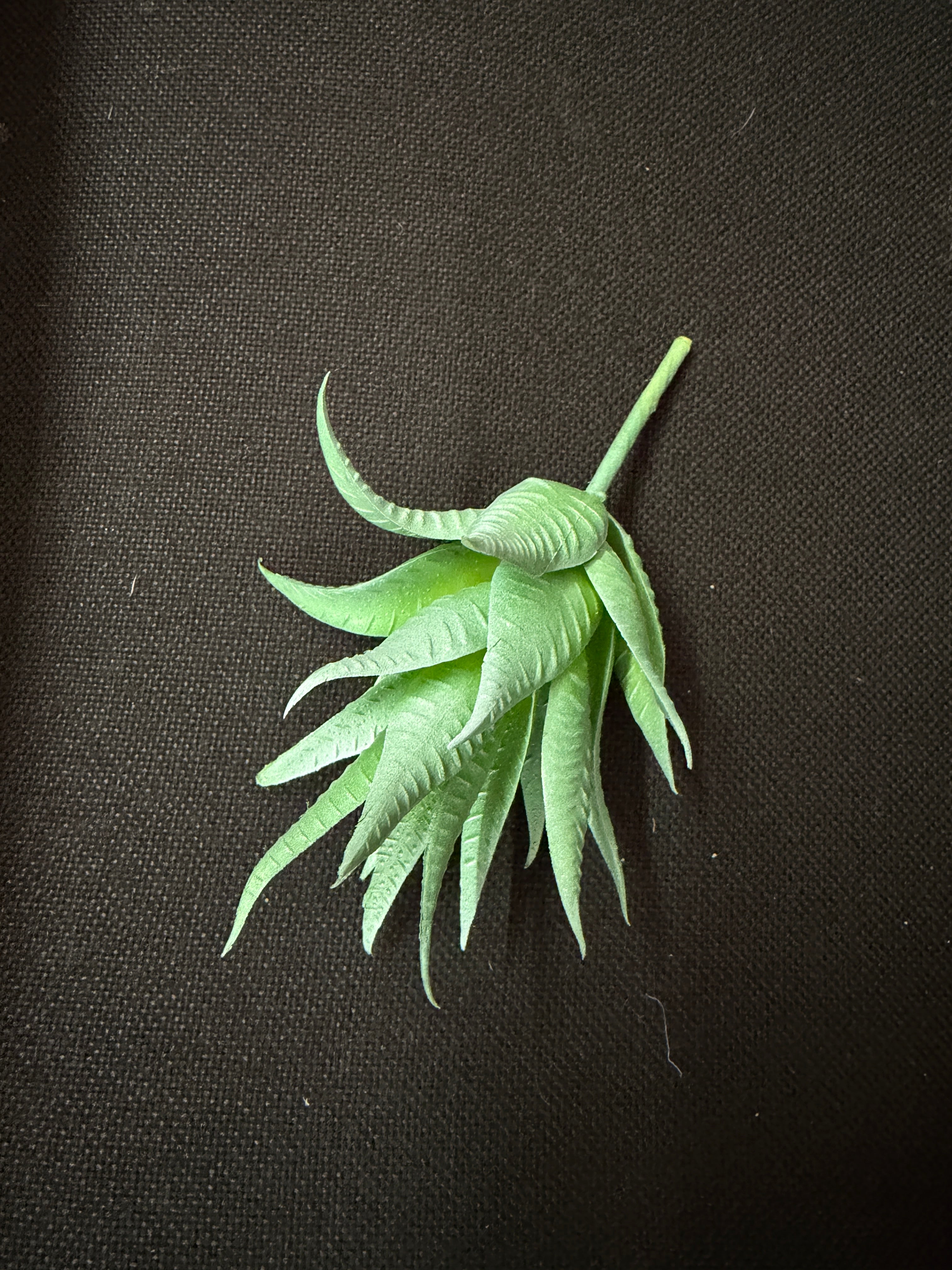 Plante Suculente Artificale  Aloe Mica