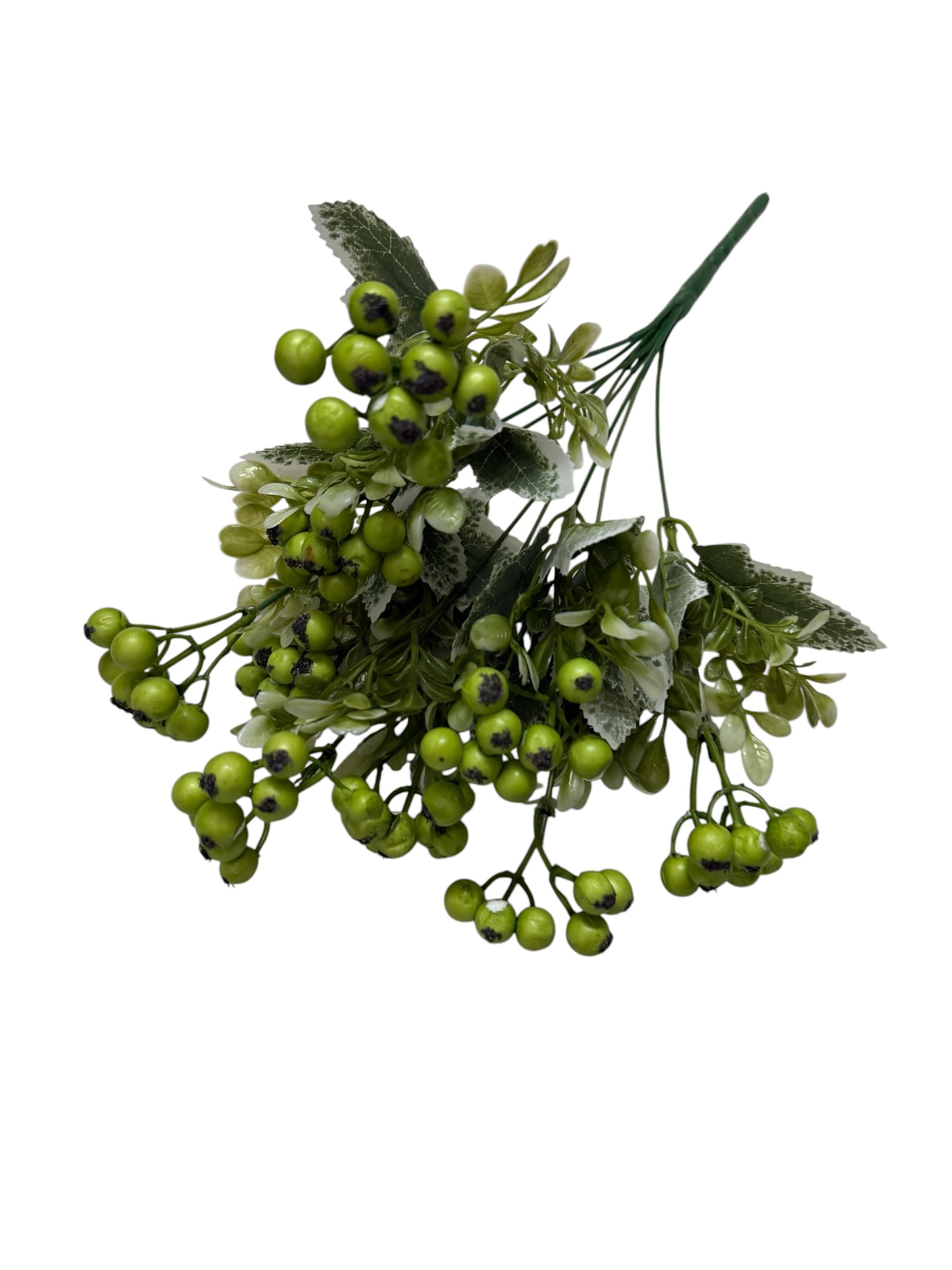 Buchet Bobite Lacuite Cu Frunze Brumate Verde