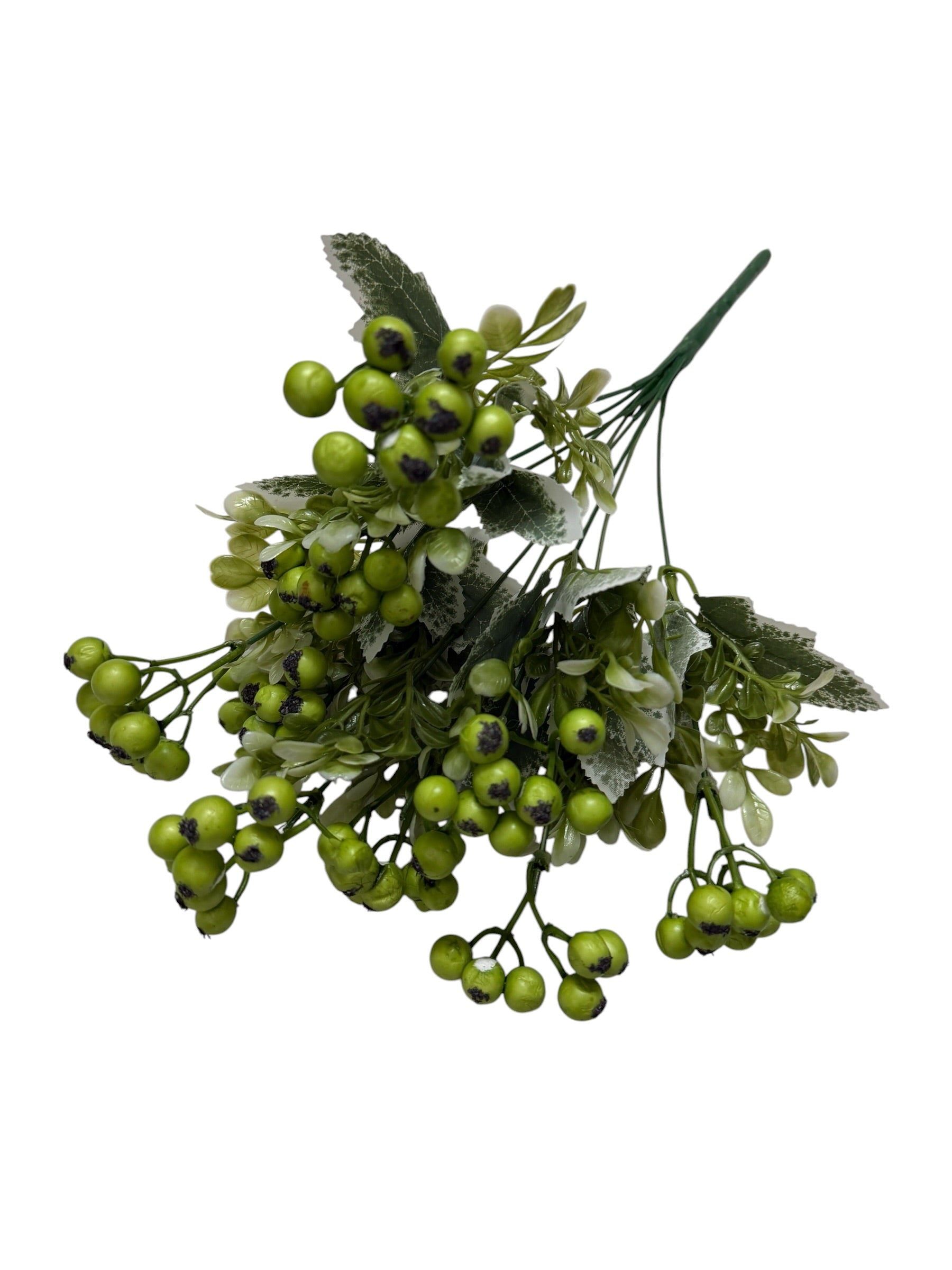 Buchet Bobite Lacuite Cu Frunze Brumate Verde