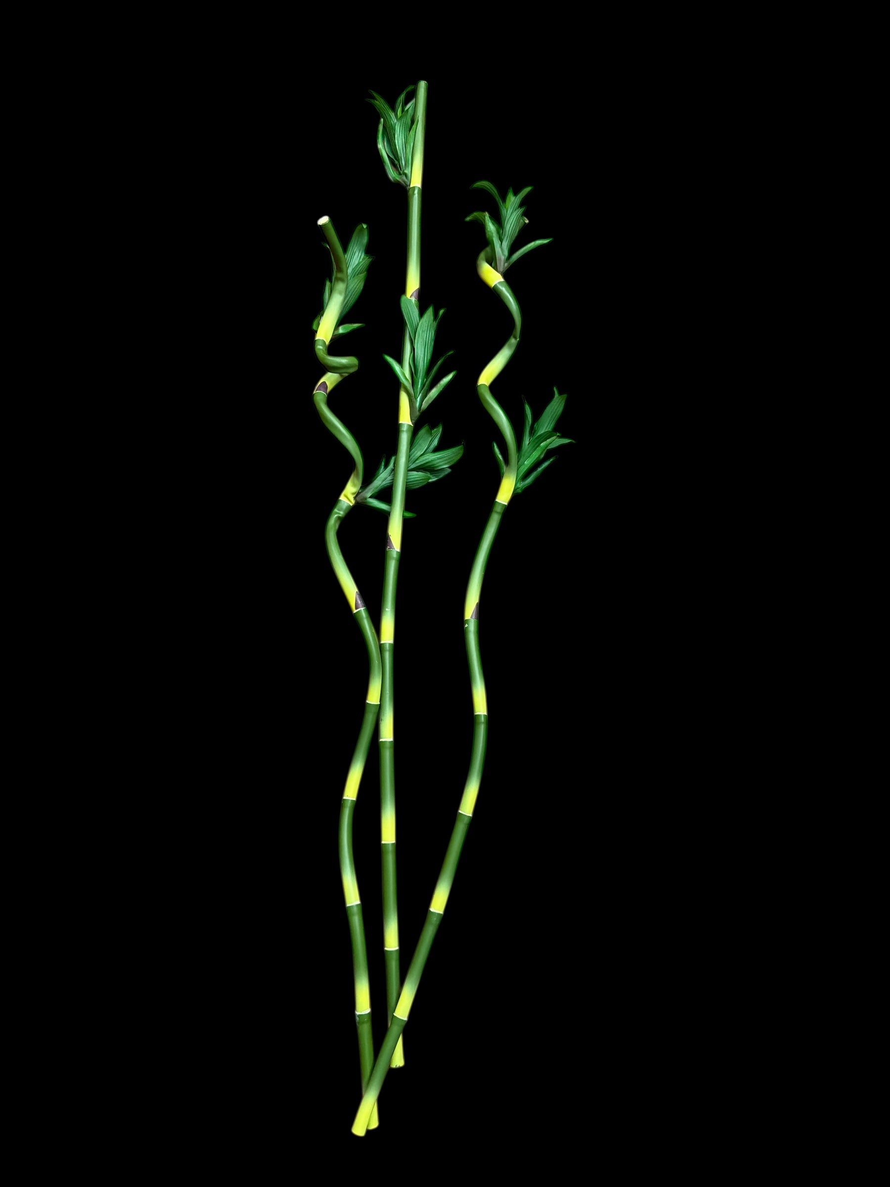 Bambus Artificial Fir