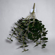 Buchet Frunze Iedera Artificiala