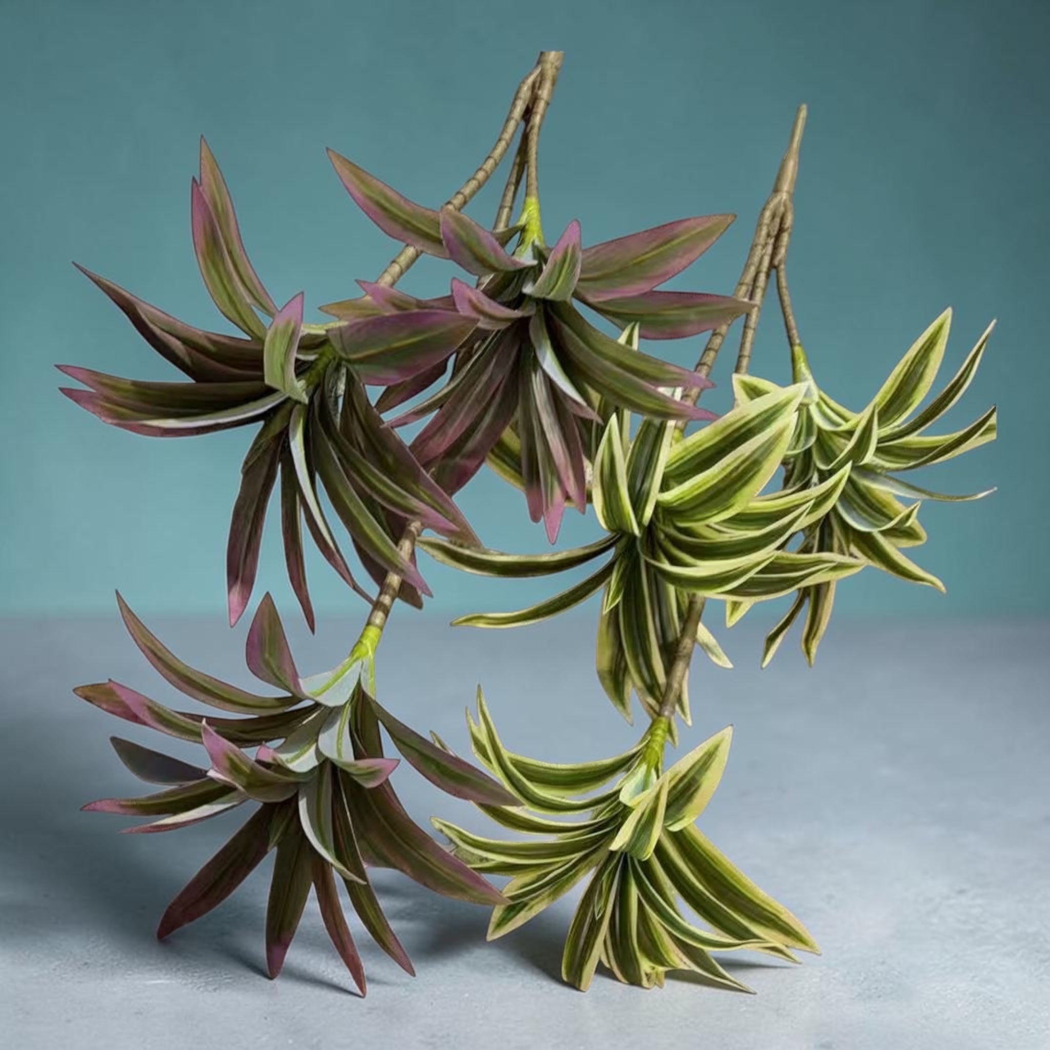 Buchet Frunze Dracena