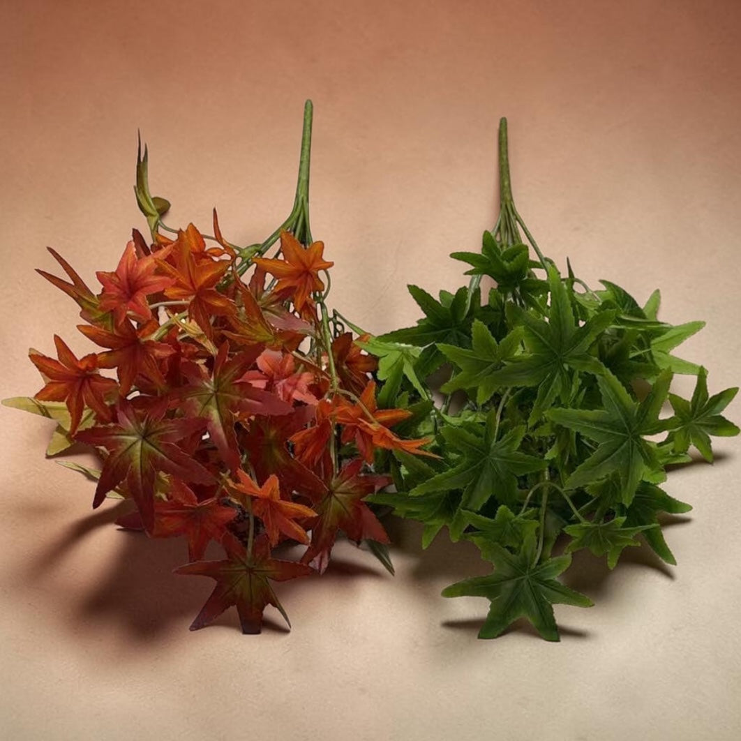 Buchet Frunze De Artar Japonez