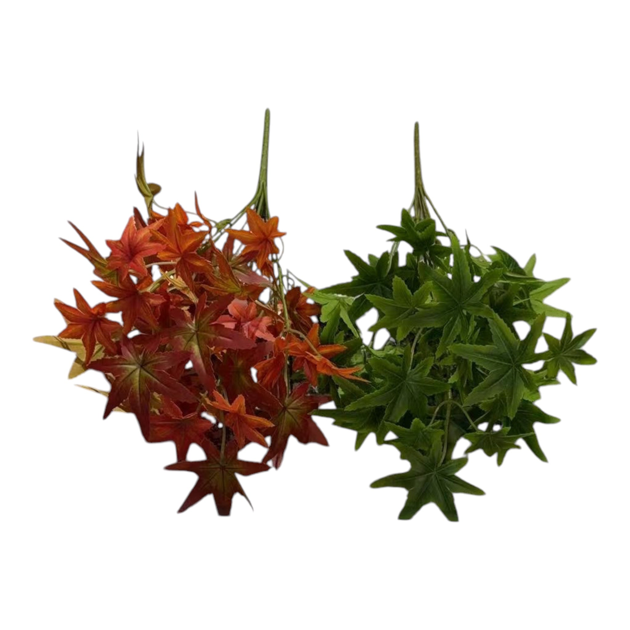 Buchet Frunze De Artar Japonez