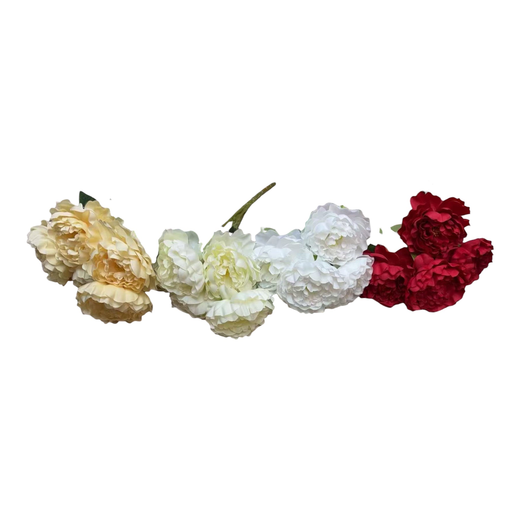 Bujori in Buchet de 5 Flori